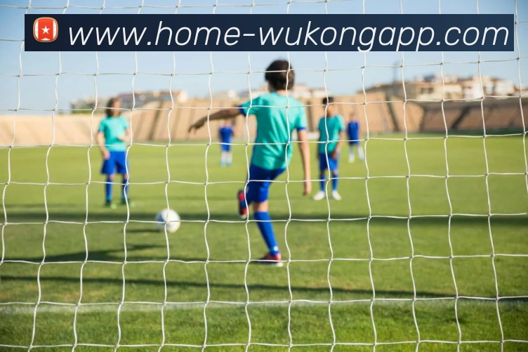 悟空体育app发展历程