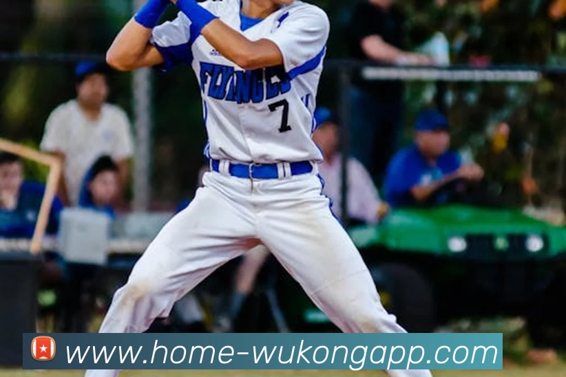 英超球队队徽图标：英超球队的队徽设计演变与象征意义